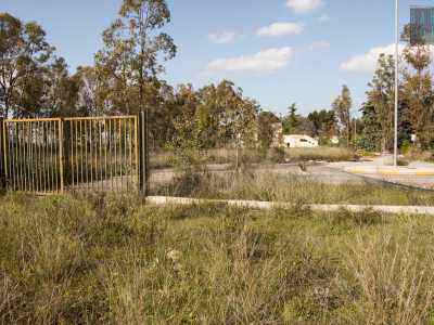 Ancora pi� grande e maestoso � il secondo parco abbandonato di Bitetto: il �Mater Domini�. Parliamo di un�area di 340mila metri quadri inserita in un�ex cava. Realizzato nel 1996 e costato ben 22 miliardi di vecchie lire, non � mai stato aperto. Anche qui troviamo una recinzione divelta